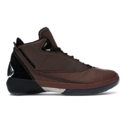 Air Jordan 22 Retro Comet